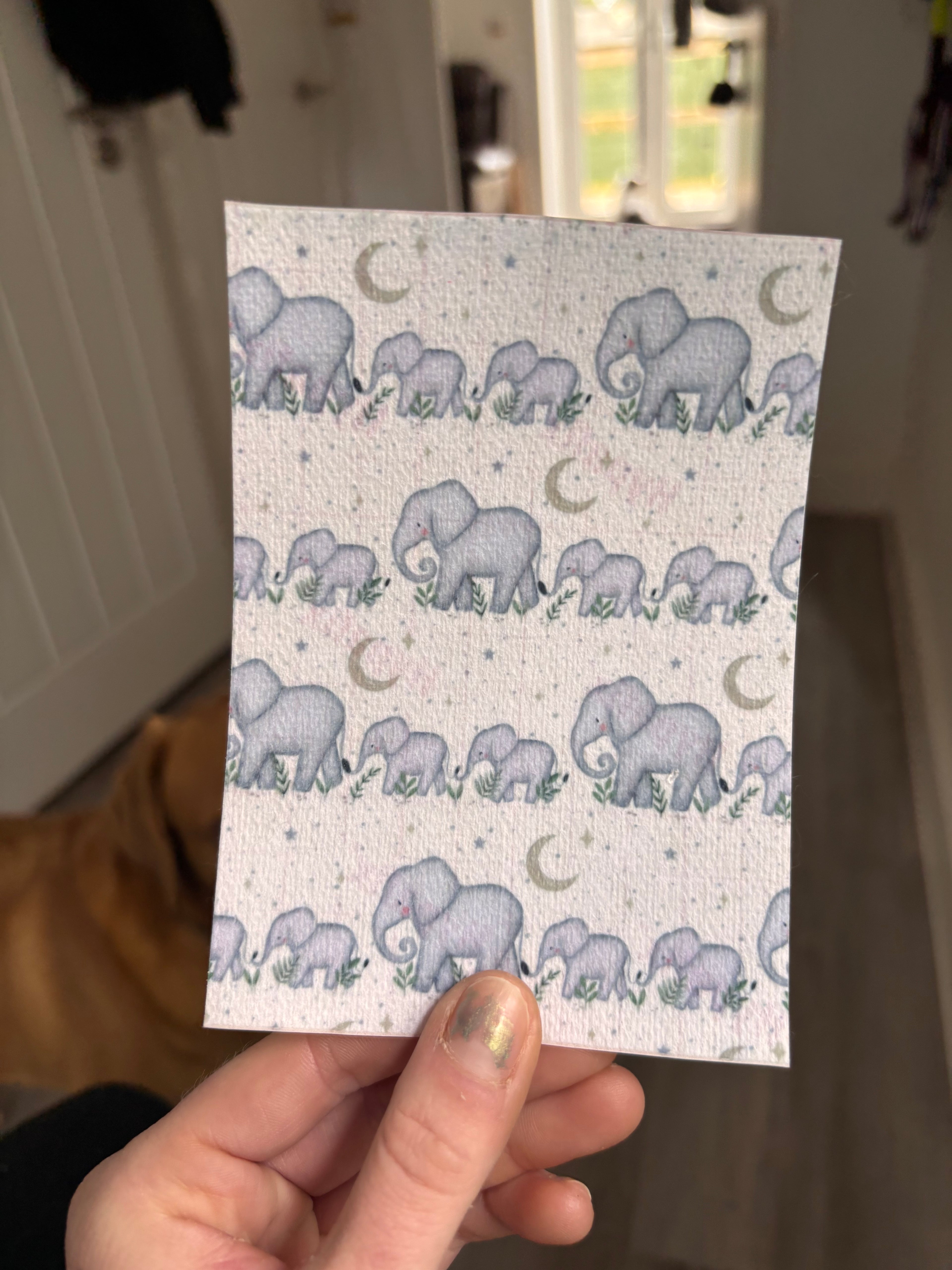 Nursery Elephant tubie tape | medical retention tape | ng, oxygen, stoma